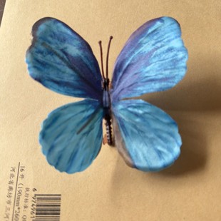 Small Butterfly Simulation Phalaenopsis Single Wholesale Simulation Butterfly Wall DIY Decorative Atmosphere Sense Three-dimensional Butterfly