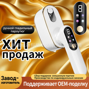 Cross-Border Russian Household Four-Speed Temperature-Adjustable Small Portable Electric Iron Garment Steamer Fulfillment Portable Steam Brush
