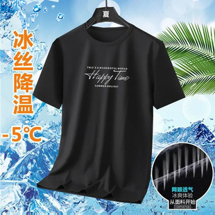 Wholesale Ice Silk Mesh T-shirt Summer Short Sleeve Men's Solid Color Loose plus size Half Sleeve Quick Dry Breathable Sports Short Sleeve