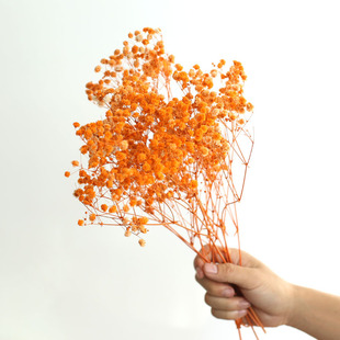 Yunnan Yongsheng Flower Wholesale Small Bundle of Immortal Gypsophila Suction Color Eros Home Decoration Ornaments DIY Flower Material