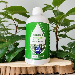 Special nutrient solution for rich tree plant yellow leaf leaf drop general green plant nutrient solution potted hydroponic liquid special fertilizer