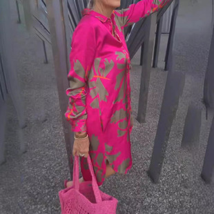 2023 cross-border Amazon European and American autumn and winter New printed V-neck long sleeve dress women's clothing