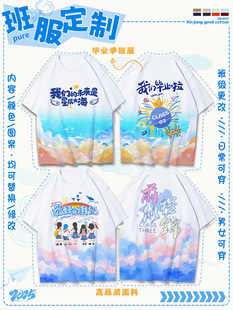 Graduation class clothes custom t-shirt primary school students junior high school students sports cultural shirt kindergarten children's parent-child clothing