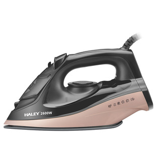 HALEY English European standard new ceramic floor iron hotel supplies hot explosions iron iron iron