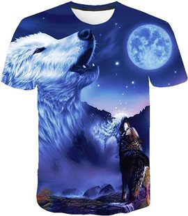 Cross-border Foreign Trade Summer 3D Digital Printing Rose Loose T-shirt Men and Women Loose Casual Round Neck Short Sleeve Top