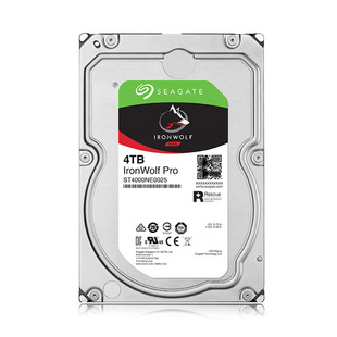 For 4T cool wolf PRO enterprise ST4000NE001 Seagate 3.5 inch NAS storage server computer hard disk