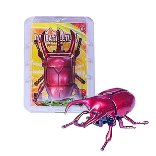 Creative Coil Chain Simulation Fighting Beetle Bees Ladybug Scarab Mono Fairy Insect Model Educational Toys
