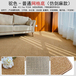 Imitation Sisal Carpet Living Room Bedroom Bedside Bay Window Tatami Photo Pet Cat Catch Home Floor Mat Japanese Style Full Shop