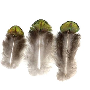 Factory wholesale natural peacock hair peacock back hair peacock gold piece feather DIY handmade jewelry materials