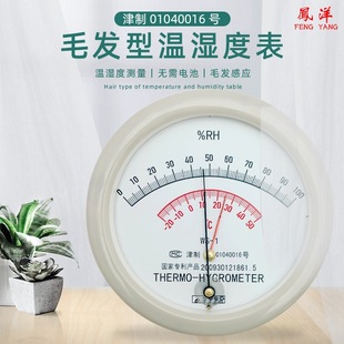 Tianjin Fengyang Professional-grade Hair Type WS-1 Temperature and Humidity Meter Temperature and Humidity Meter Special for Medicinal Factory