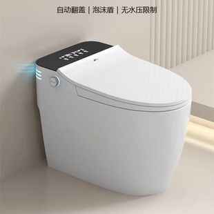Germany's New Internet Celebrant Automatic Flip AI Integrated Electric Toilet Instant Heating Intelligent Toilet