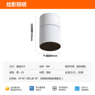 Shadow-mounted Spotlight Adjustable Angle Folding Rotary Ceiling-mounted Non-owner Lamp Living Room Average Hill Wall Wash Lamp