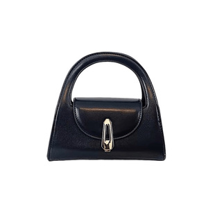 Niche High-end Handbag 2024 New Black Handbag Women's Elegant All-match Fashionable Shoulder Crossbody Bag