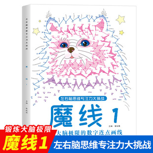 Left and right brain thinking focus great challenge maze adventure children's whole brain intelligence development training books wholesale