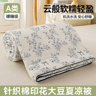 2025 New Class A Milk Knitted Cotton Summer Quilt Printed Soybean Quilt Summer Cool Quilt Core Air-conditioning Quilt Spring and Autumn Quilt