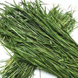Люцерна Сушеная люцерна 1kg/Коробка для кролика кролика корм корм сено кролик шилороторот голландская свинья