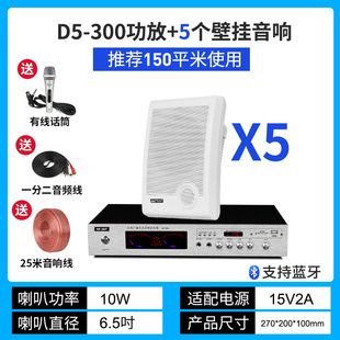 Shinko Wall sound speaker shop dedicated power amplifier set surround background music Wall Horn restaurant supermarket