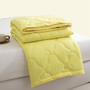 Skin-friendly water-washed cotton summer quilt small fresh summer air-conditioning quilt simple sanding student dormitory single summer cool quilt wholesale