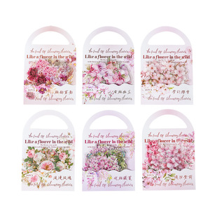 Ketchup Girl Pink Watercolor Flower Landscape PET Sticker Flower Feast Series Handbook Material Sticker