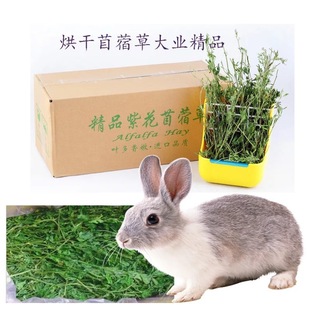 Люцерна Сушеная люцерна 1kg/Коробка для кролика кролика корм корм сено кролик шилороторот голландская свинья