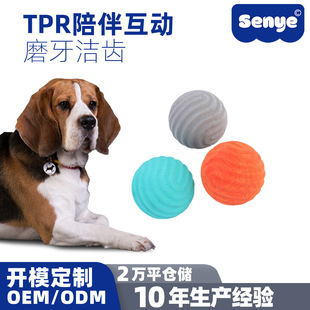 Pet toy ball gnawing molar bite-resistant tooth cleaning chewing TPR multi-color pattern solid ball playing dog toy
