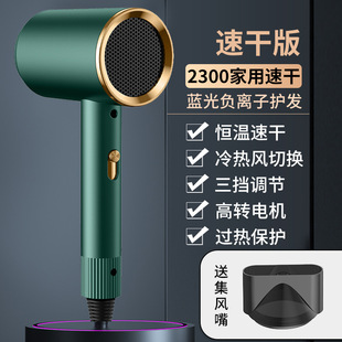 New Internet Celebrity Hair Dryer Household High Wind Hair Dryer Blue Light Negative Ion Hair Care Hair School
