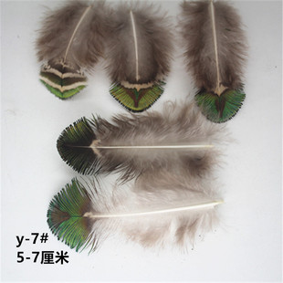DIY jewelry feathers all kinds of pheasant feathers pure natural color feather jewelry accessories