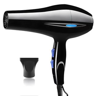 Internet Red Cross-border Shake Hammer Hair Dryer Blue Light Cross-border Home Hair Salon Dormitory Hair Dryer Hair Dryer Gift
