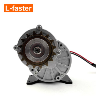 350W Electric Bicycle Brush Variable Speed Motor MY1016Z3 Electric Scooter Cart 24V36V Left Set
