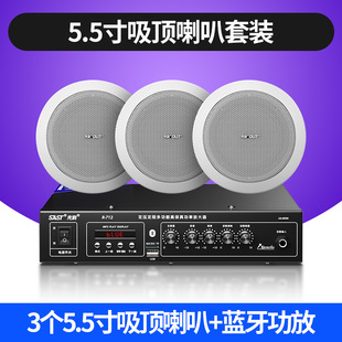 Schenko ceiling audio embedded speaker ceiling shop dedicated commercial suit surround power amplifier speaker