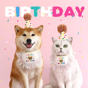 Foreign trade pet Happy Birthday suit cat puppy tassel bib polka dot ball hat suit party decoration