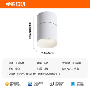 Shadow-mounted Spotlight Adjustable Angle Folding Rotary Ceiling-mounted Non-owner Lamp Living Room Average Hill Wall Wash Lamp