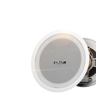 SAST ceiling speaker ceiling hanging ball audio embedded in public broadcasting store background music
