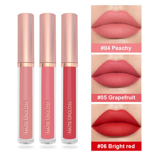 Misist cross-border foreign trade 3 nude lip gloss suit non-stick cup non-fading velvet matte lip glaze wholesale