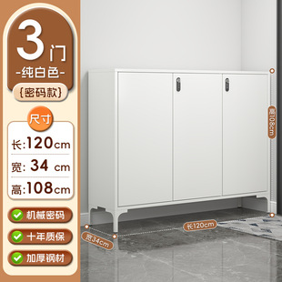 Steel Shoe Cabinet Home Door with Lock Entrance Cabinet Home Storage Cabinet Large Capacity Indoor and Outdoor Shoe Rack Factory Straight Hair