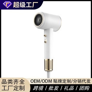 Factory Customized High-Speed Hair Dryer Home Hair Salon Hair Dryer Amazon High-Power Hair Care Hair Dryer Direct Sales