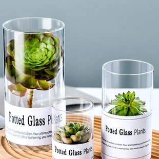 Spot Simple European-style Fleshy Glass Flower Pot Indoor Hydroponic Green Plant Potted Transparent Glass Small Vase ins Style