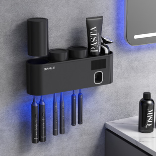 Factory Danle Smart Toothbrush Sterilizer UV Philips Wall-mounted Electric Sterilization Brush Cup Rack