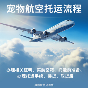 Коробка для домашних животных Air China Cat Dog Контрасная коробка для маленьких собак