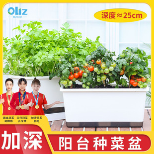 Olinze Vegetable Pot Road Guardrail Viaduct Flower Pot Thickened Absorbent Pot Balcony Rectangular Absorbent Vegetable Pot