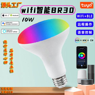 Factory Direct Sales Smart Par Lamp Dimming Color Voice Control Graffiti Wifi Bluetooth Smart Br30Br40
