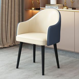 Simple Internet Celebrity Negotiation Light Luxury Leisure Reception Restaurant Chair Nail Art Home Modern Hotel Dining Chair Backrest Chair