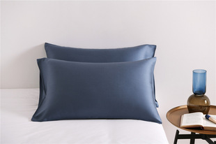 High-end 60 Austrian LF Tencel Light Luxury Solid Color Ice Silk Smooth and Cool Adult Single Pillowcase