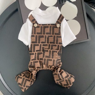 Dog fake two-piece suspender pants spring, autumn and winter New Teddy trendy cool suspender pants pet clothes dog pants wholesale