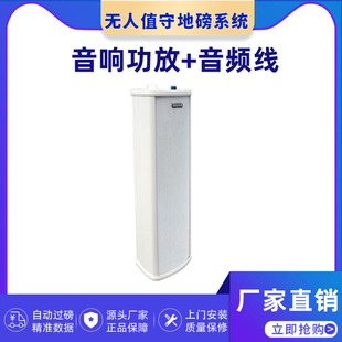Unmanned Smart Floor Scale Weighing System License Plate Recognition Swipe Scan Code Over-pound Digital Car Balance Charges