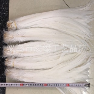 in stock sale multi size 20-45cm pure white cock tail feather chicken feather white feather stage decoration