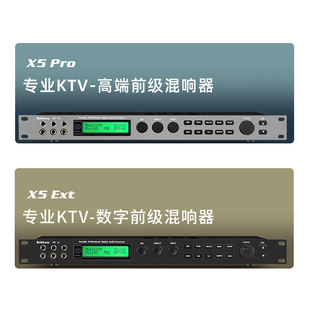 Wholesale X5 pre-stage effector microphone professional recording singing sound audio processing anti-howling balanced reverberation