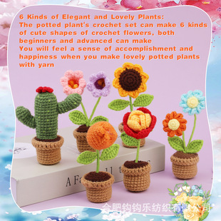 Amazon new crochet material package potted flower handmade decoration diy gift English Manual