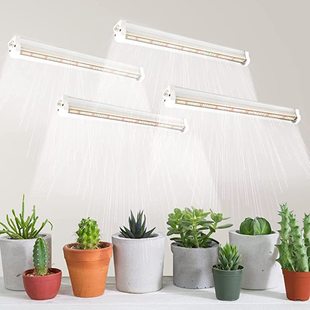 T5 plant lamp T5 concentrating plant lamp fleshy plant fill light greenhouse flower led plant lamp