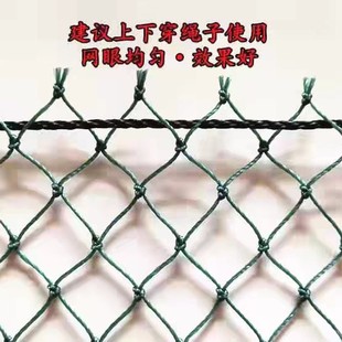 Large mesh climbing vine net plant climbing net planting net chrysanthemum net passion fruit net anti-lodging shrimp pond anti-egret